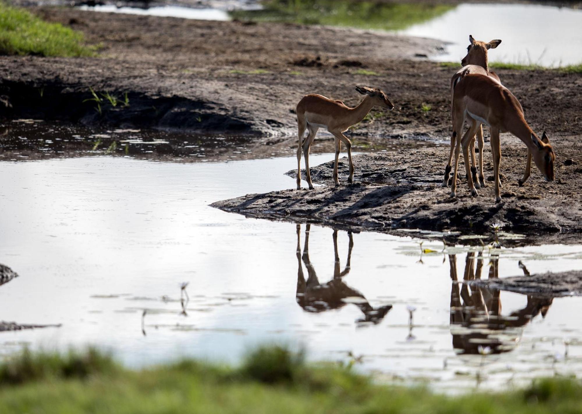 Royal Thonga Safari Lodge Sihangwane 外观 照片